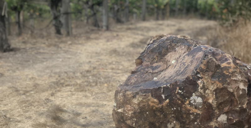Volcanic soils at Truchard